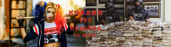 прущие грибы Зерноград