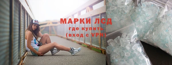 прущие грибы Зерноград