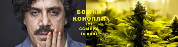 прущие грибы Зерноград