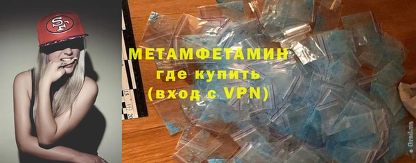 прущие грибы Зерноград