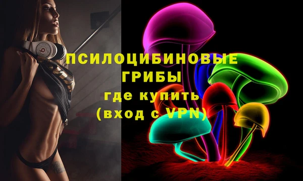 прущие грибы Зерноград